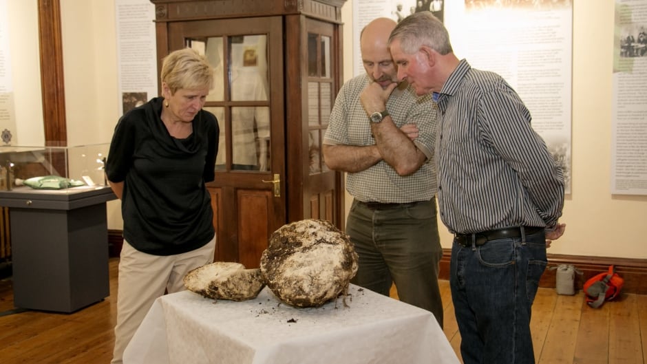 Savina Donohoe (left) Andy Halpin, National Museum of Ireland (centre) and Jack Conway, the farmer who found the butter.