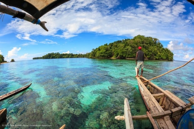 Coral reefs