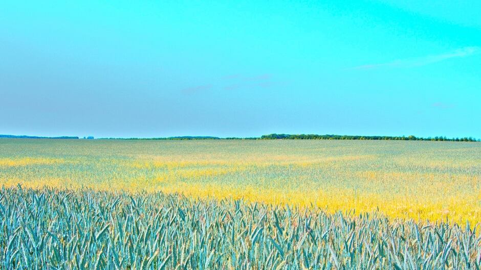 Saskatchewan @Joan E FlickR