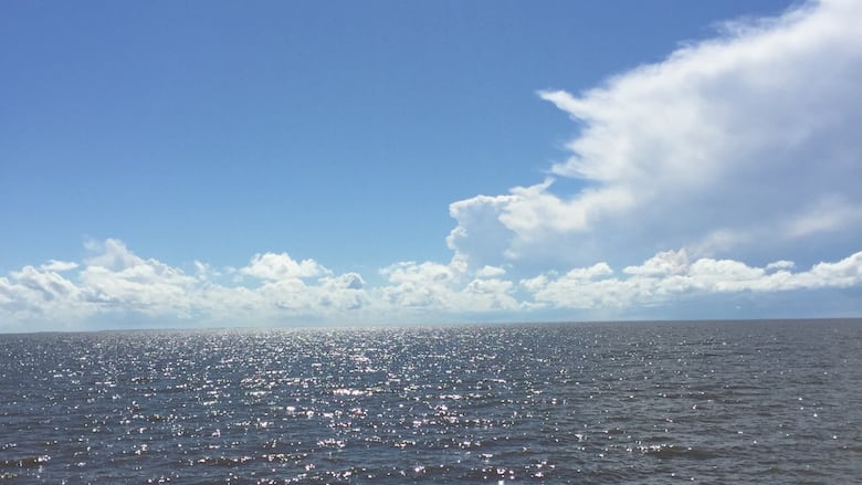 rippling water under clear blue sky with a few white clouds