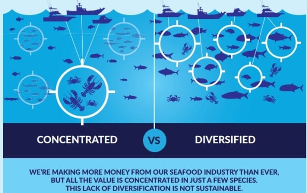 Oceana fish report 01