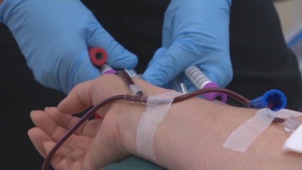 Ally giving blood