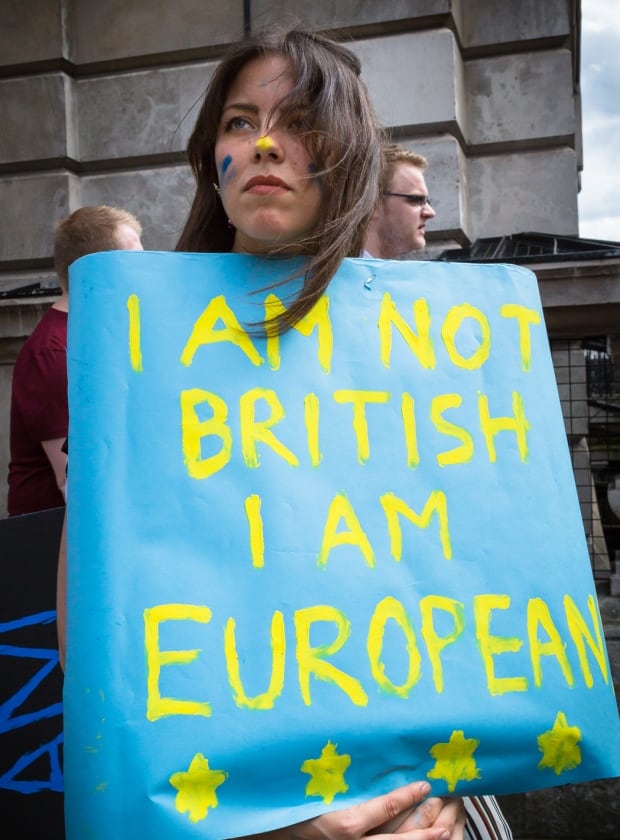 Brexit protester