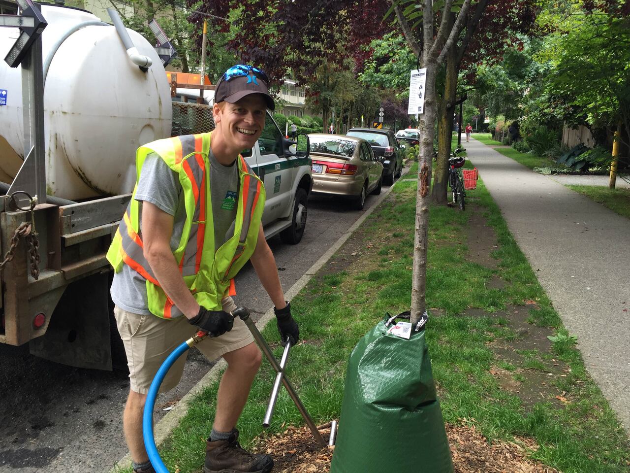 Image result for vancouver street trees watering