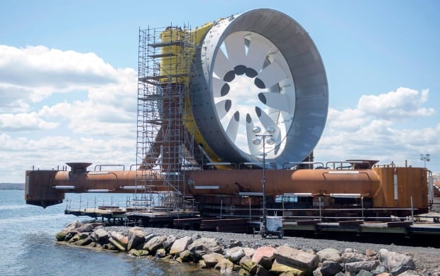 an environmental report about the tidal power in the bay of fundy in nova scotia Home » news » novascotia » marine experts lock horns over bay of fundy tidal project marine experts lock horns over bay of fundy tidal top stories in nova scotia. an environmental report about the tidal power in the bay of fundy in nova scotia Home » news » novascotia » marine experts lock horns over bay of fundy tidal project marine experts lock horns over bay of fundy tidal top stories in nova scotia.