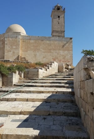 Aleppo