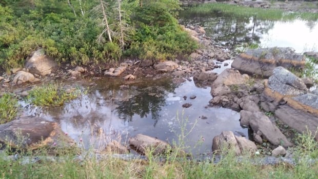 Williams Lake