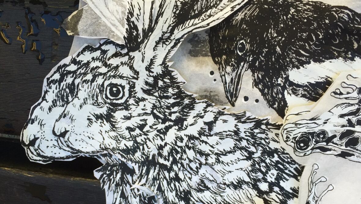 Saskatoon artist launches paper animal conservancy project CBC News