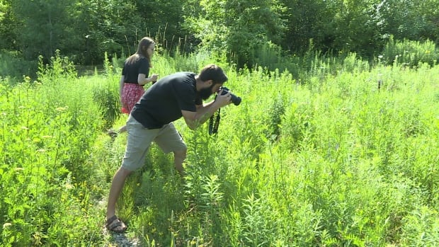 Summer students photographing bumble bees