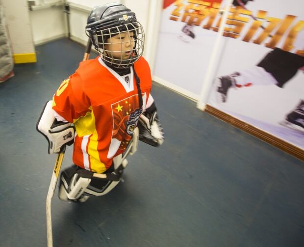 China hockey fans popularity