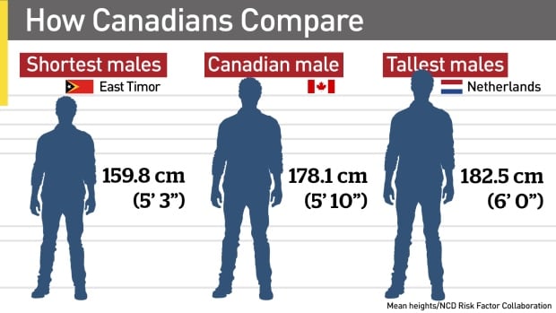 Canadians still getting taller but not as fast as others CBC News