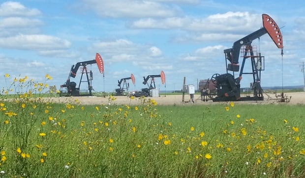Oil pump jacks near Arcola, SK