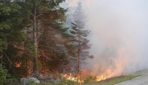 Seven Mile Lake fire
