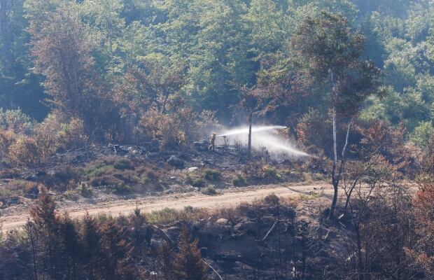 A crew fights the Maitland Bridge, Annapolis Co., fire.