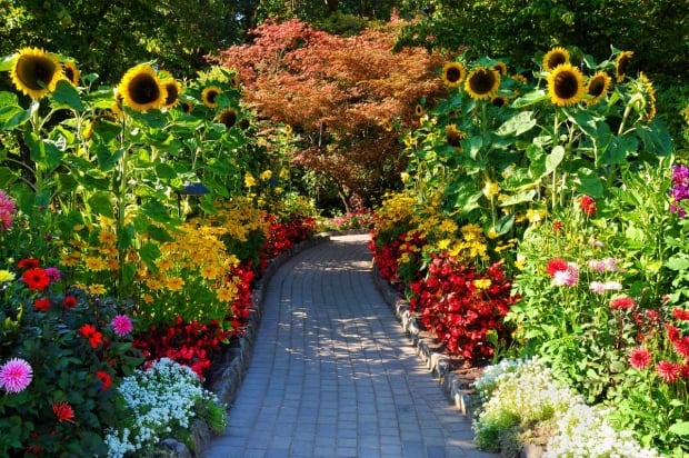 Buchart Gardens