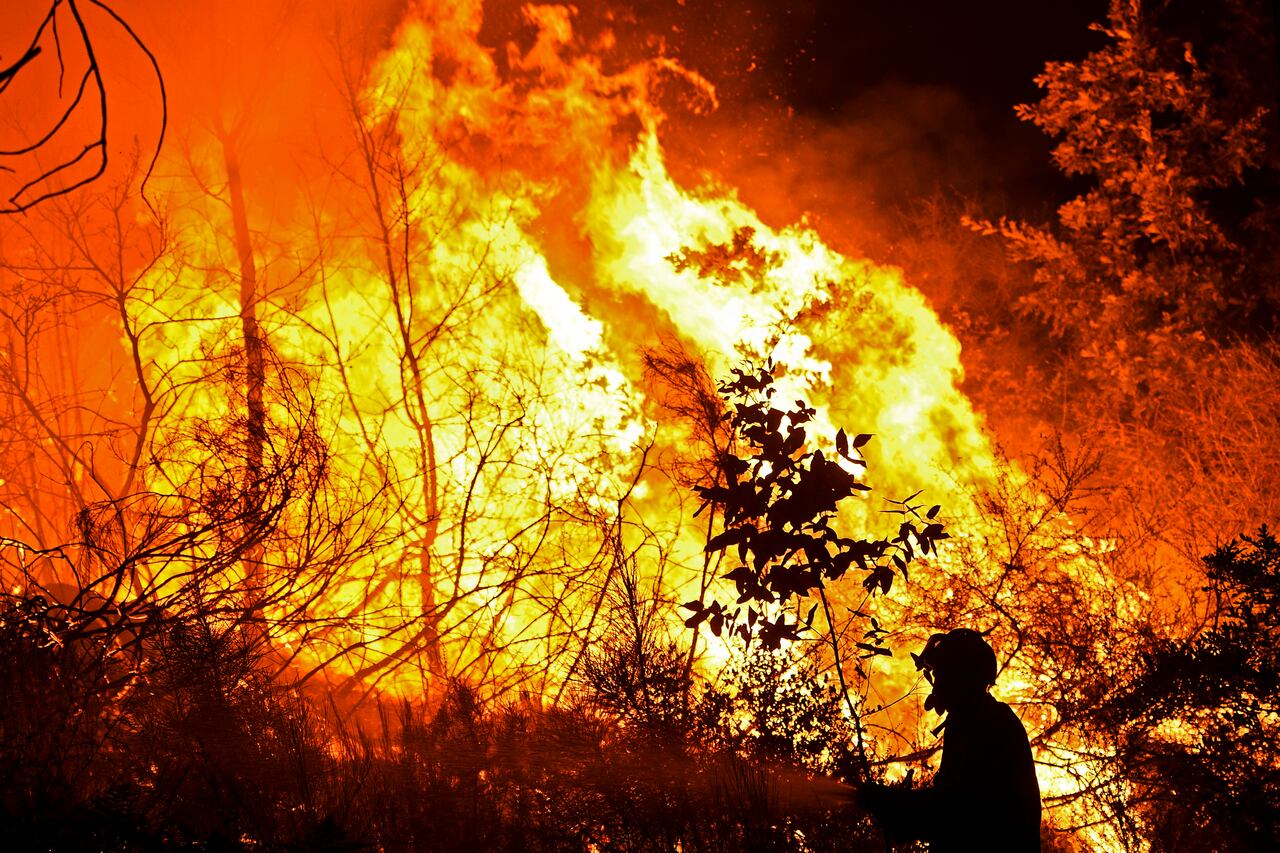 portuguese fire man portuguese fire man
