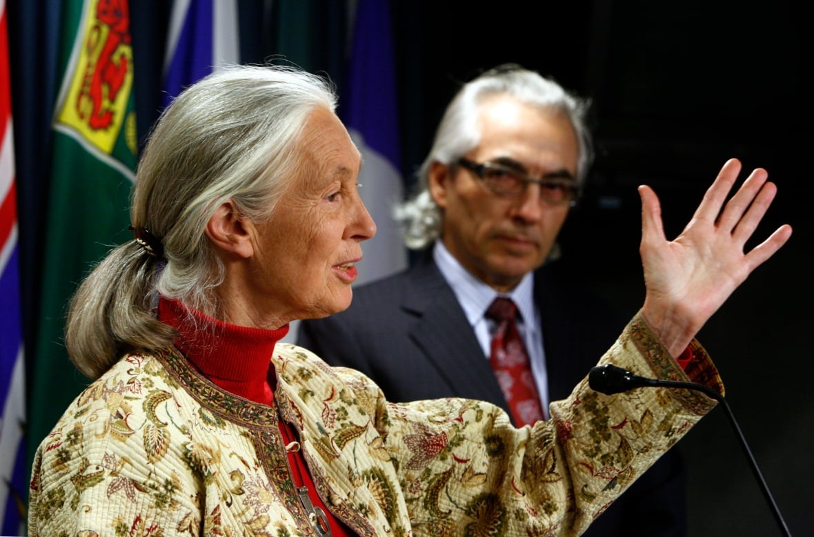 Jane Goodall, has long gray hair-tied hair and wearing a white jacket with a blue paisley - like printing, muscophones with her left hand proposed. Without him is the first man with gray hair, dark glasses and wear a blue suit red. 
