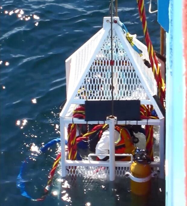 Manolis L Divers