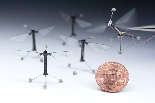 Robot bees from Harvard University