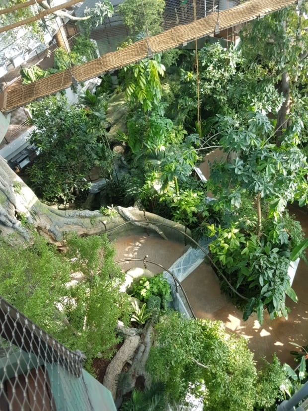 View from ramp