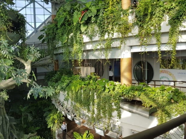 balcony growth green planet