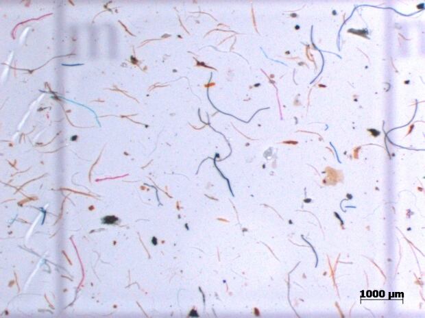 Microplastics