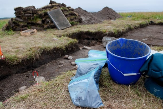 Point Rosee archeological dig for Vikings