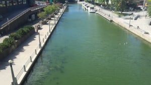 Rideau Canal