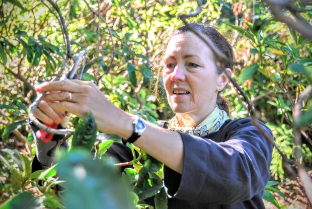Valerie Murray, head of gardeners at Government House