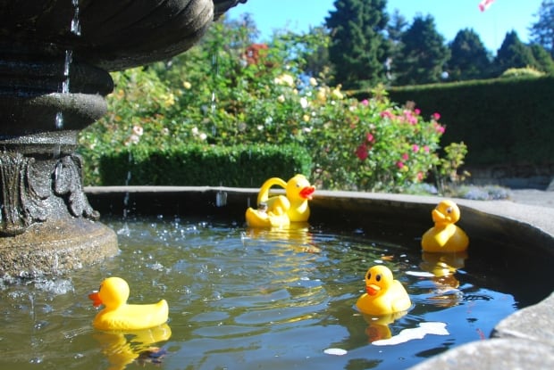 Rubber duckies