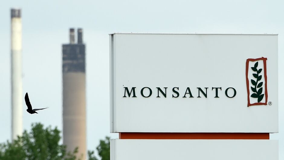 Would a genetically-modified rose smell sweeter with a different name? Now that Monsanto has been taken over by Bayer, will a new brand change the image of GMOs?