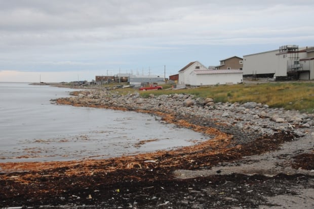 Arviat shoreline