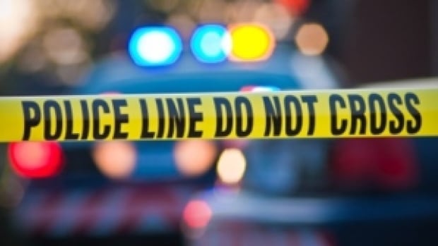 Unidentified woman's body found in Langley park by local kids