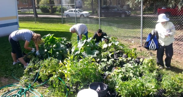 Garden 3