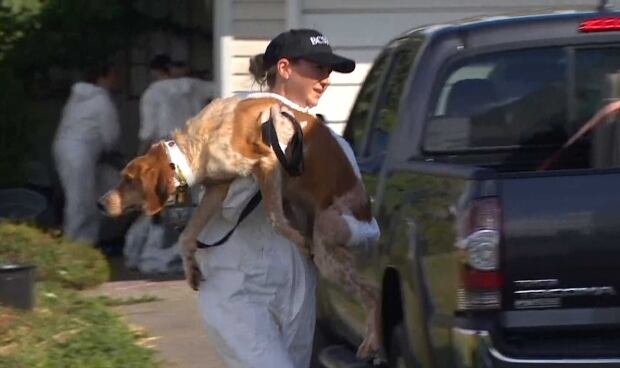 SPCA raid