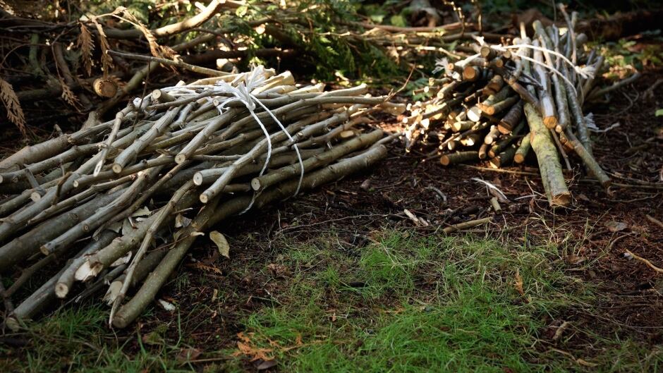 Eagle nest repair