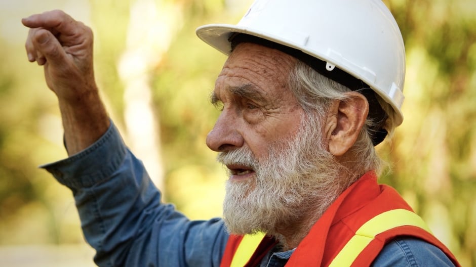 Eagle nest repair