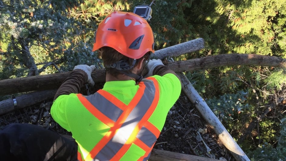 Eagle nest repair