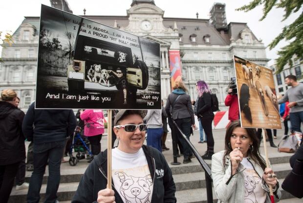 Montreal Pit Bull Ban 20160926