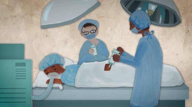 animated screen cap
