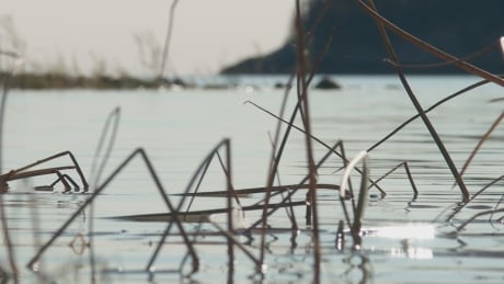 Changing water levels are impacting those who live around the Peace-Athabasca delta. Fort Chip