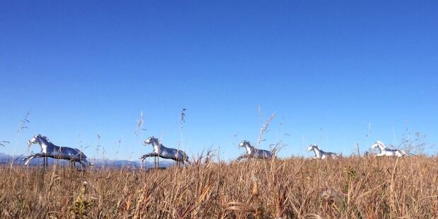 Helios Lisa Brawn horses
