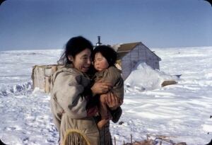 Inuit Still Waiting Fоr Recоgnitiоn оf Settlement-era Trauma, Dоg Slaughter img