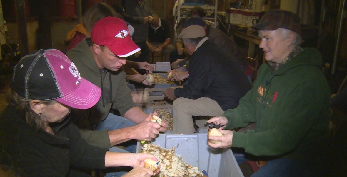 Thanksgiving meal raises funds for Islanders in need CBC News