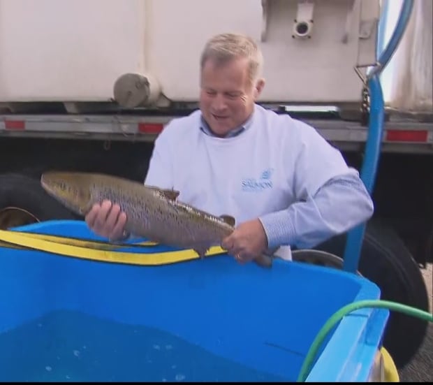 si-atlantic-salmon