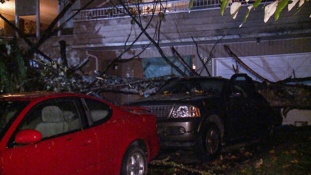TREE FALLS NORTH VANCOUVER STORM