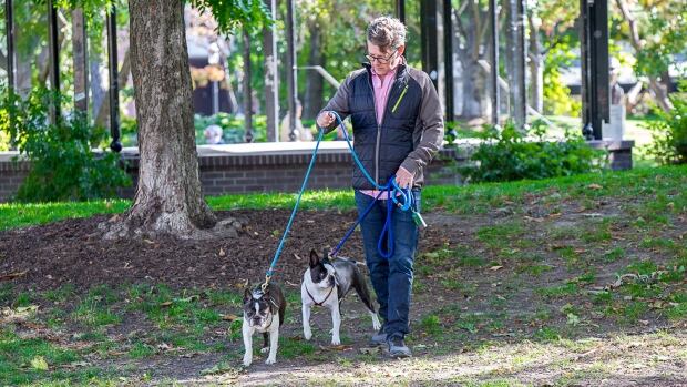 Condo dogs 2