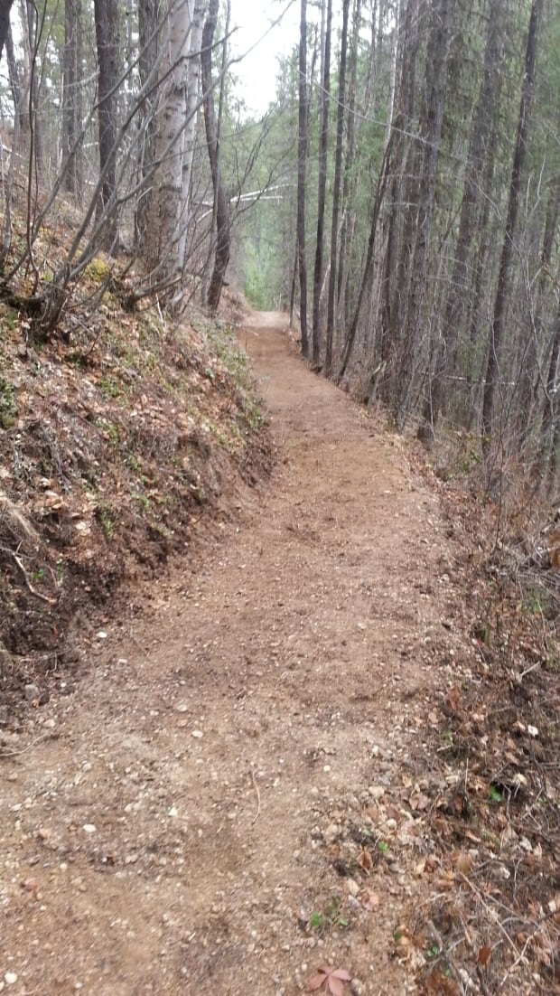 Kootenay National Park trails - Kindersley?