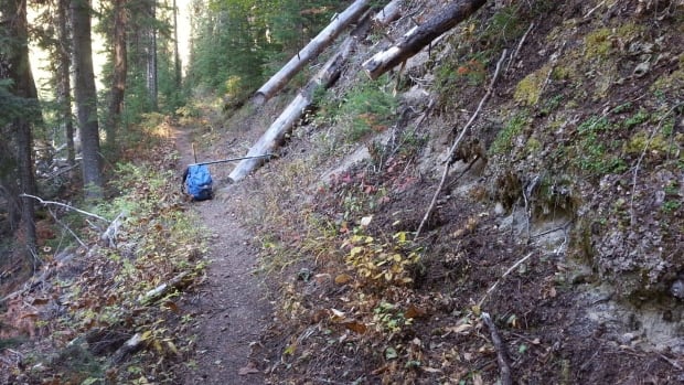 Kootenay Park trails