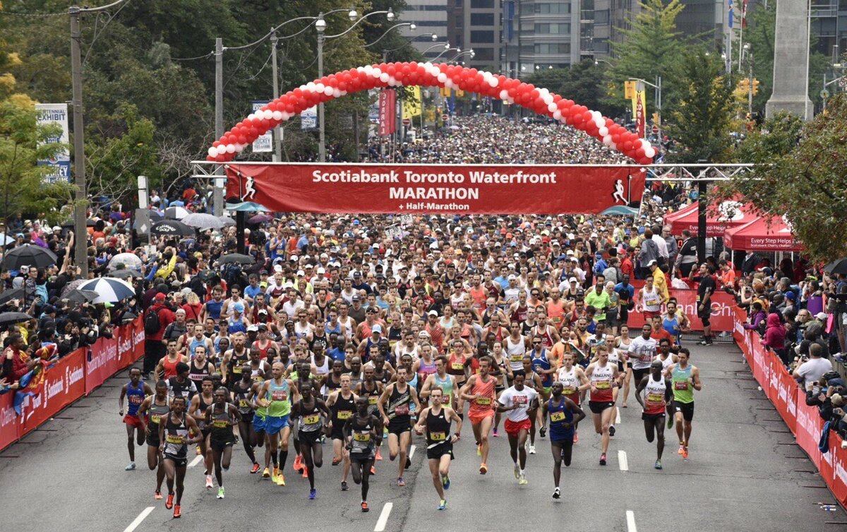 bank of nova scotia marathon bank of nova scotia marathon